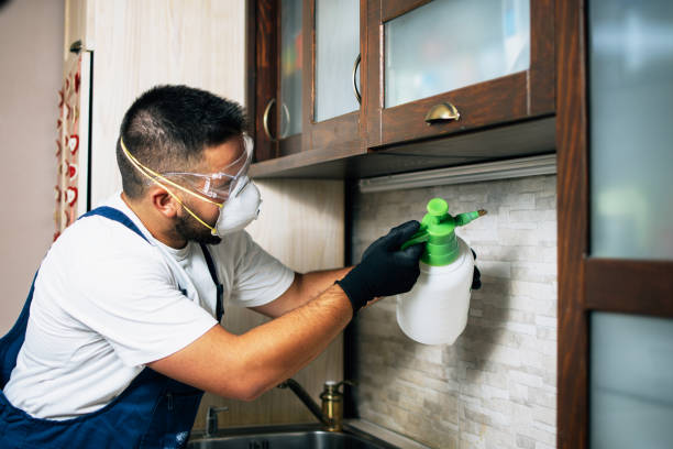 Insect Control in Poolesville, MD