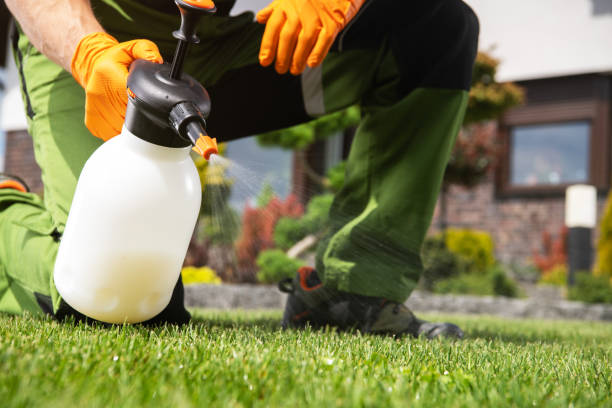 Best Flea Control Services  in Poolesville, MD