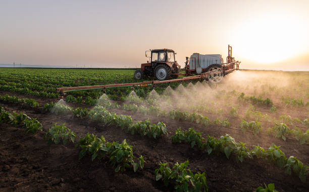 Professional Pest Control in Poolesville, MD