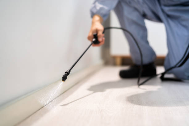 Pest Control for Restaurants in Poolesville, MD