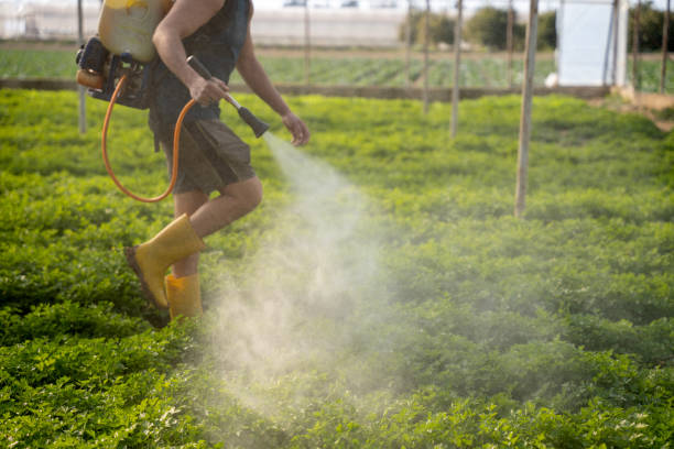 Best Pest Prevention Services  in Poolesville, MD