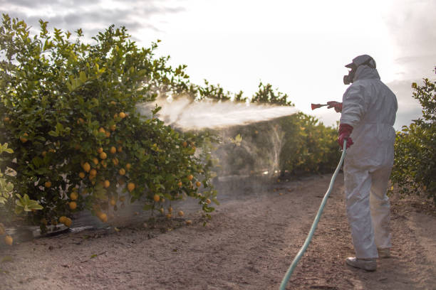 Pest Prevention Services in Poolesville, MD