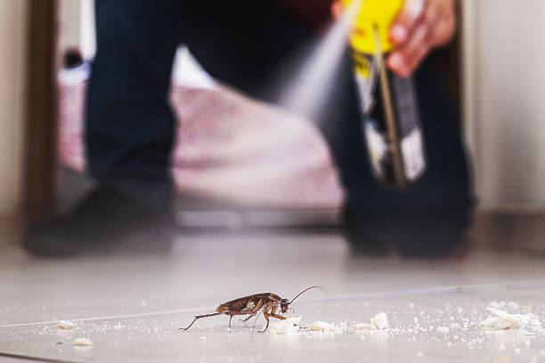 Best Pest Prevention Services  in Poolesville, MD