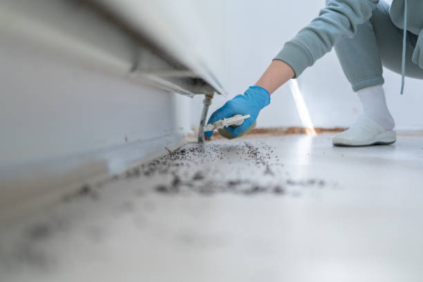 Best Affordable Pest Control Services  in Poolesville, MD